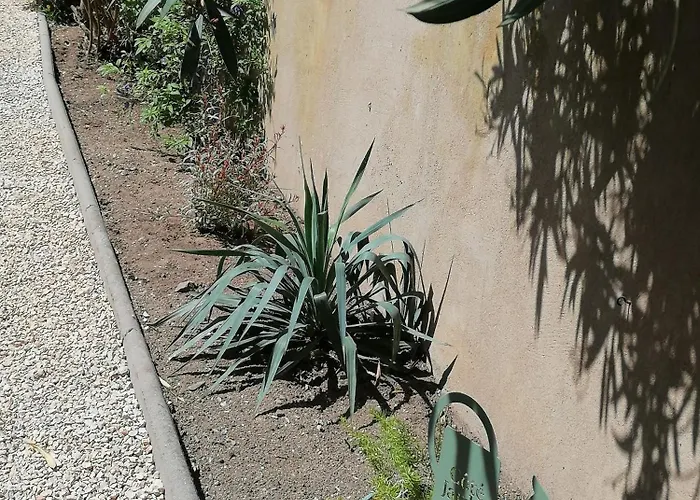 Maison La Belle Lorraine *